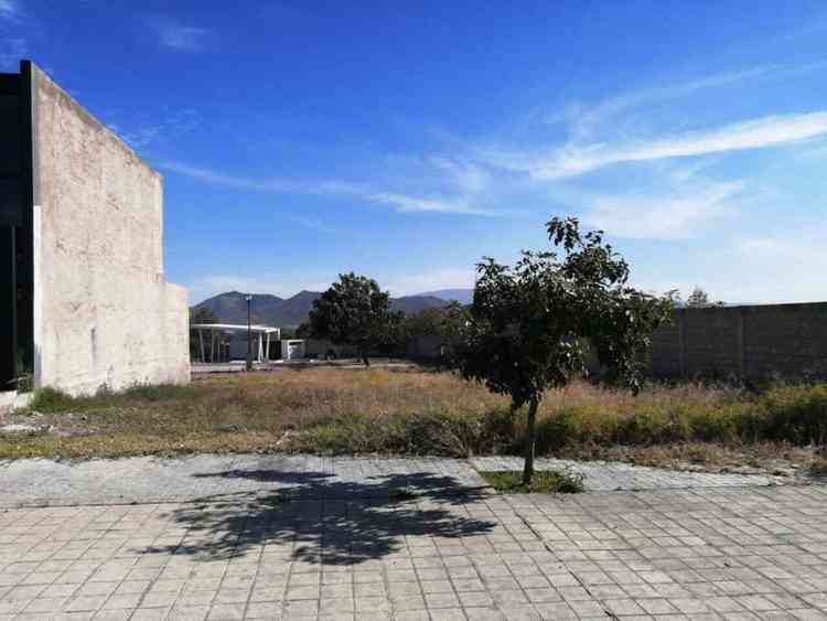 terreno en venta avenida arbolada arbolada bosques de santa anita tlajomulco de zuniga jalisco pLZhX6V